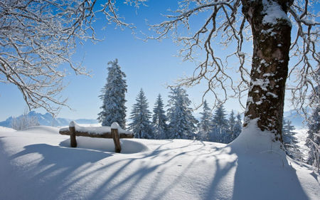 Afbeelding voor categorie Winter Collections (winter)
