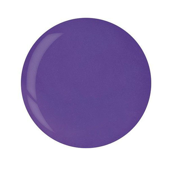 Afbeeldingen van Powder Bright Grape Purple 45 gram