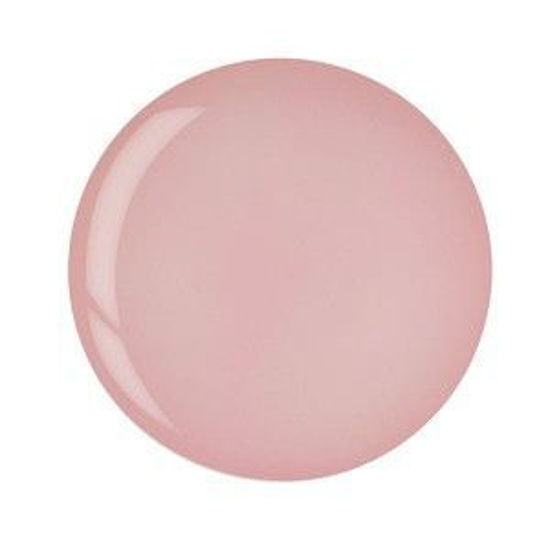 Bild von Original Pink Dip poeder - 163 gram