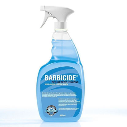 Afbeeldingen van Kingcide Hygiëne  Spray 1000 ml