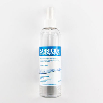 Picture of Barbicide Hand Disinfection 250ml