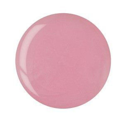 Afbeeldingen van French Pink Dip poeder - 163 gram