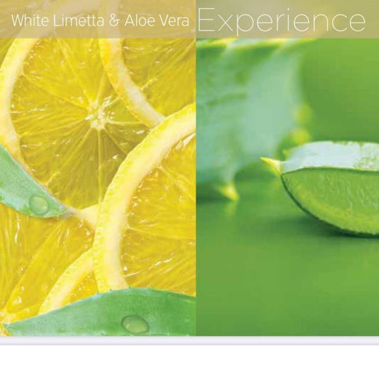 Afbeeldingen van Spa Set: White Limetta & Aloe Vera - Show Deal