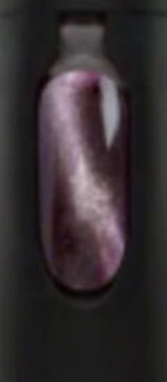 Picture of Claw & Order