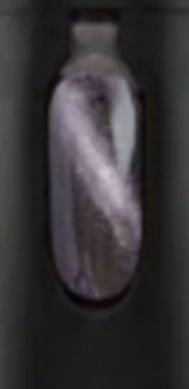 Picture of Pawdon Me