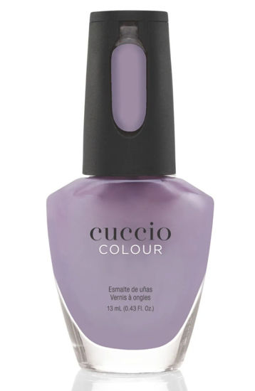 Bild von Violet Vibe