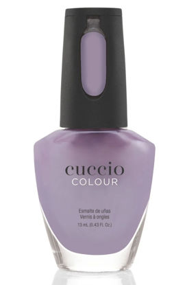 Bild von Violet Vibe