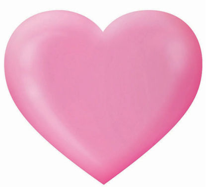 Bild von Kyoto Cherry Blossoms