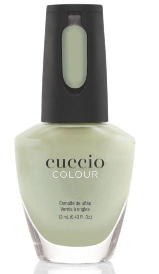 Bild von Summer N' Shine