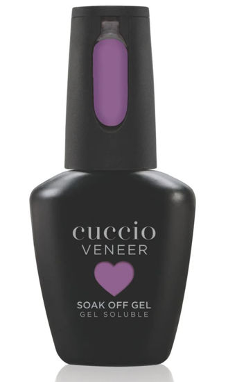 Picture of Mesmerized