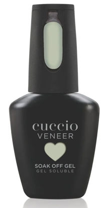 Bild von Summer N' Shine